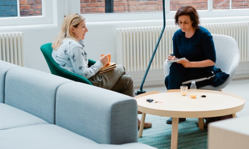 Two Women in a Discussion